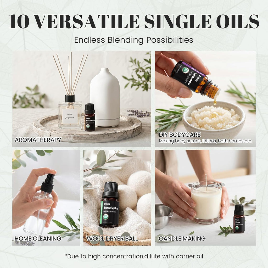 Organic Essential Oils Gift Set, Top 10x10ML-100% Pure Natural Aromatherapy for Diffusers, Humidifiers, Candle Making, Peppermint, Tea Tree, Lavender, Frankincense, Lemongrass, Eucalyptus & More